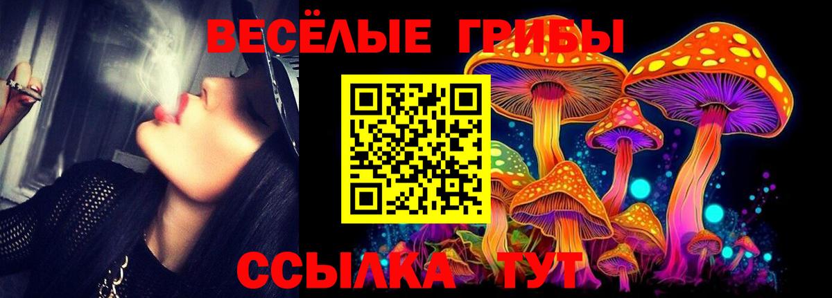 Псилоцибиновые грибы ЛСД  наркошоп  Ивантеевка  Псилоцибиновые грибы мухоморы  Вход с VPN 